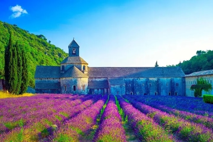 洗護品牌紛紛布局男士洗護領域