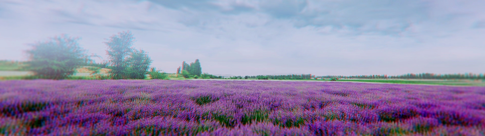 洗護品牌產品中心