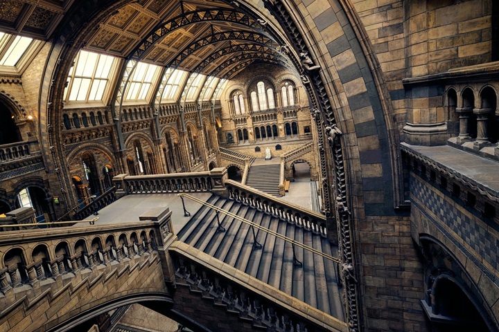 探索男士護膚新境界，身體乳品牌排行榜沛得再創新高